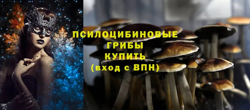 Галлюциногенные грибы Cubensis  Малмыж 